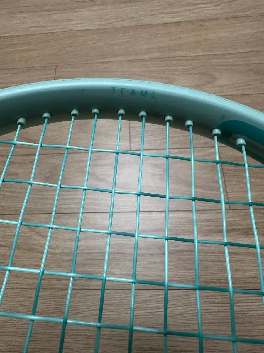 アップルミント 2025