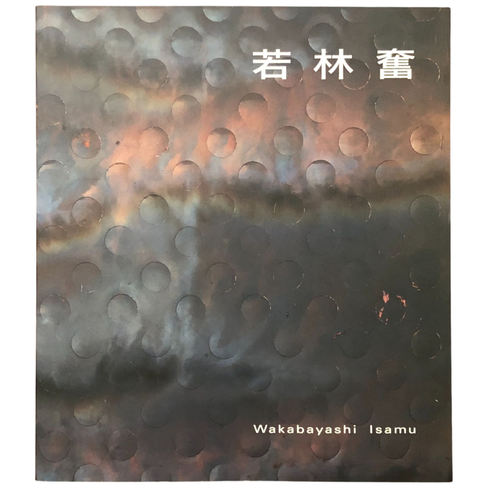 若林奮展 豊田市美術館 2002年 ☆現代美術/彫刻/インスタレーション 