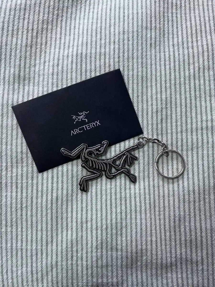 Arc'teryx（アークテリクス) キーリング メタル - メルカリ