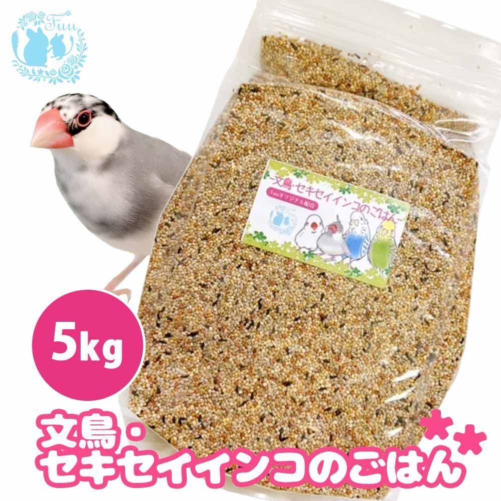 鳥 中型インコ B ２５ｋｇ 中型インコフード ヤワゲネズミ 餌 ご飯 オカメインコ 中型インコ ぎこちない