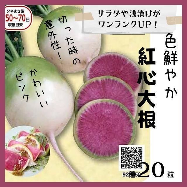 【野菜の種】中が鮮やかピンク「あざやか紅心大根」種２０粒　収穫約６０日～ 野菜の種】紅心大根 20粒 家庭菜園 プランター栽培 - メルカリ
