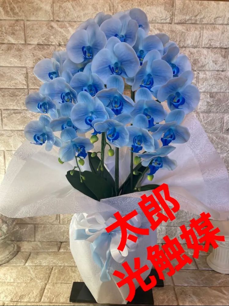 光触媒 人工観葉植物 ウォールグリーン フェイクグリーン リアル胡蝶蘭ブルーajmd