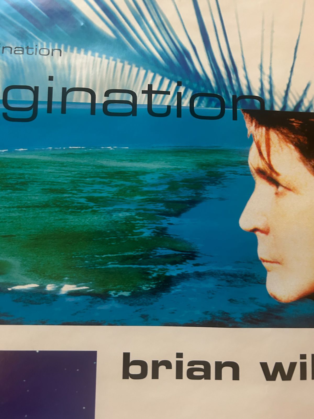 Brian Wilson　ブライアン・ウィルソン　ポスター（直筆サイン入り） ブライアン・ウィルソン『Brian Wilson』(1988)を聴きながら【未