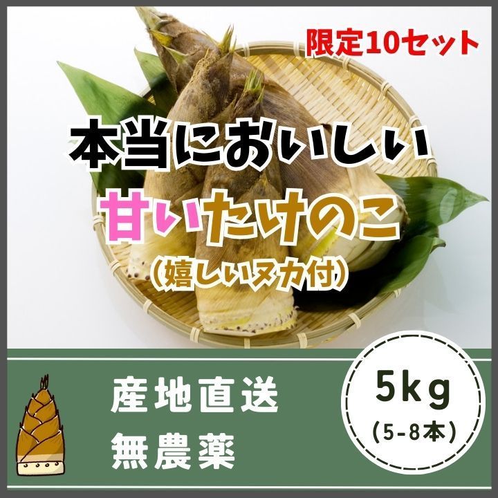 たけのこ 筍 タケノコ 5kg 最愛 - 野菜