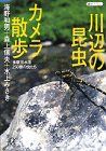 【中古】川辺の昆虫カメラ散歩—多摩川水系250種の虫たち (講談社プラスアルファ文庫)
