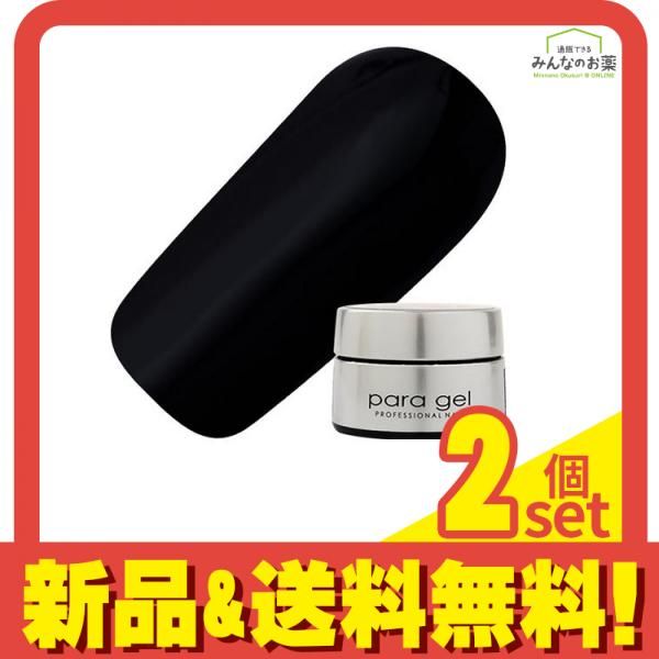 para gel(パラジェル) カラージェル AR10 ブラック 4g 2個セット
