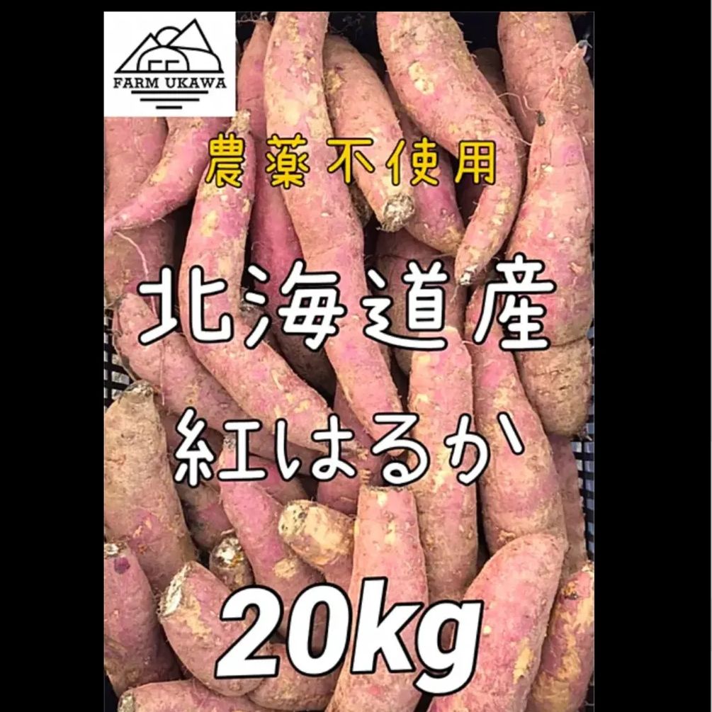 熟成 北海道産 栗山町ファームうかわ 紅はるか 箱込み20kg 農薬不使用さつまいも