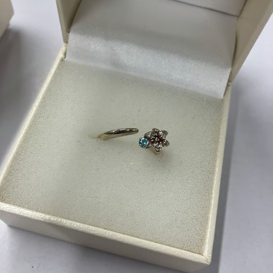 店舗最安値に本物提供！ 魔法使いの約束 ファウスト 指輪 13号 リング アクセサリー ご来店を待ちます!