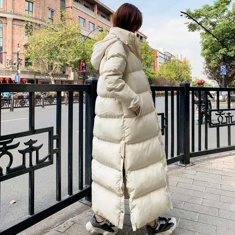 冬