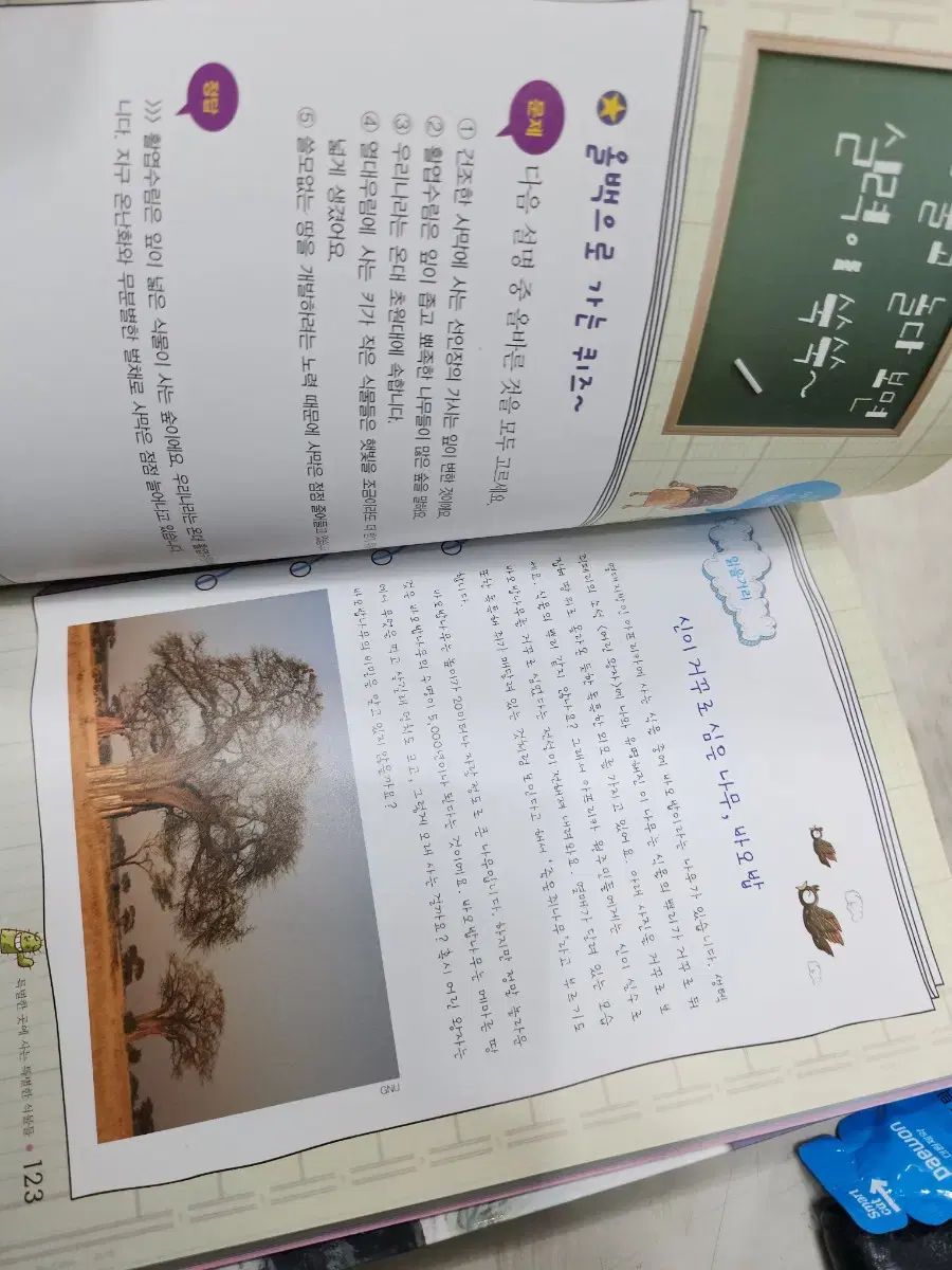 初等科学 ひっくり返す