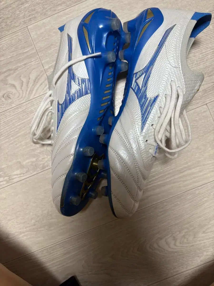 mizuno ミズノ