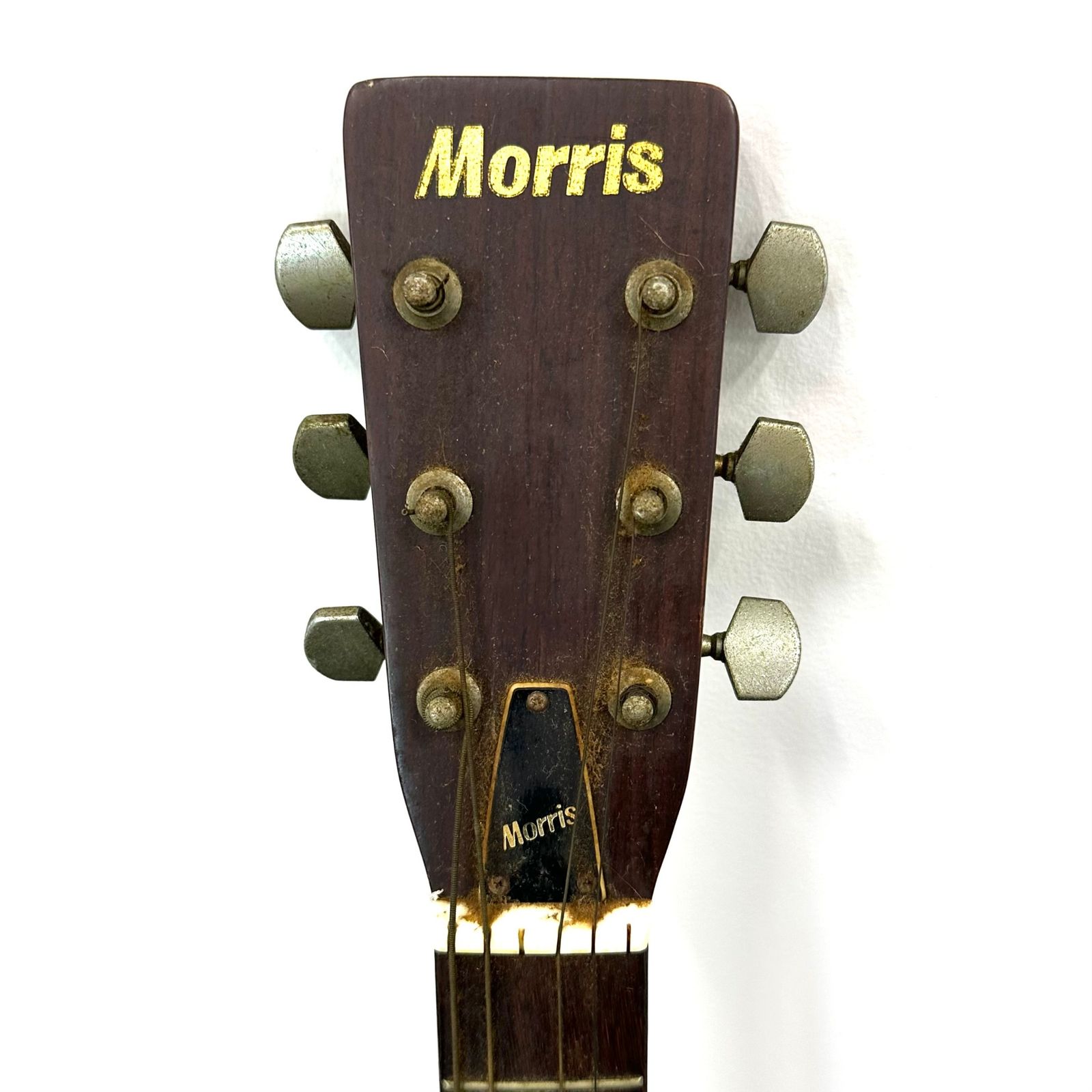 Morris モーリス W-20 アコースティックギター アコギ ギター