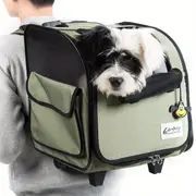 小型犬 中型犬