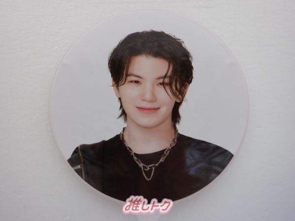SEVENTEEN WOOZI うちわ TOUR FOLLOW TO JAPAN IMAGE PICKET
