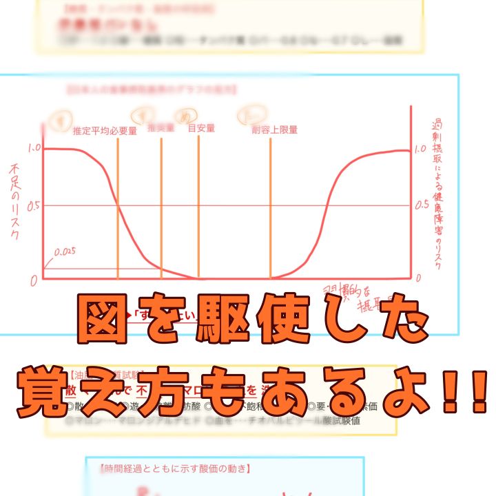 薬学ゴロ集】法規・衛生・実務【紙ver】薬剤師国家試験 - メルカリ