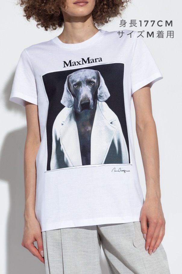 MAX MARA CIPRIA[チプリア] ピュア コットン ジャージー Tシャツ 楽天市場】MAX MARA マックスマーラ 半袖 Tシャツ CIPRIA
