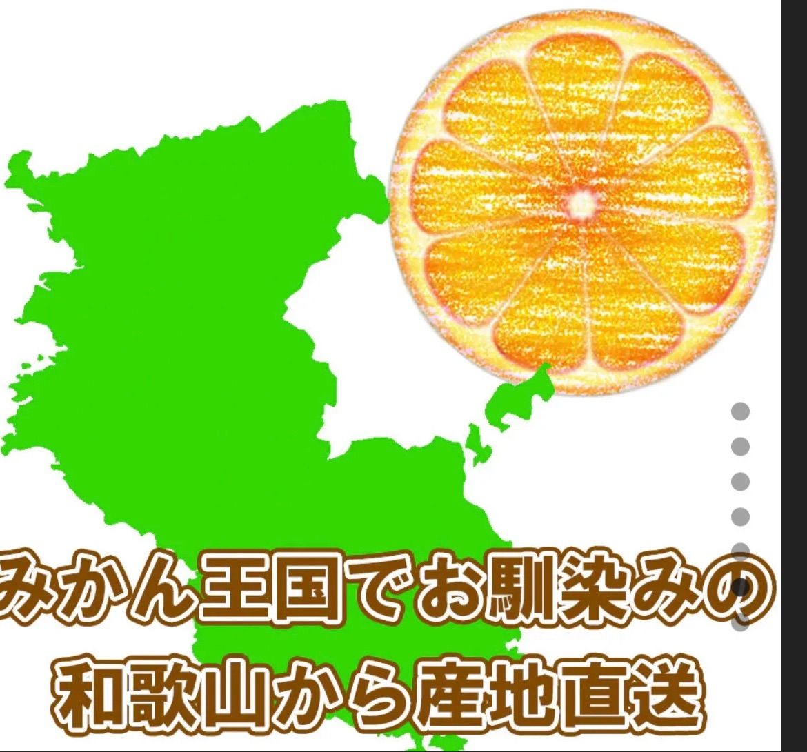 時計 10月下旬～11月上旬発送予定商品分 みかん 10キロ 和歌山有田みかん ありたみかん 農家直送