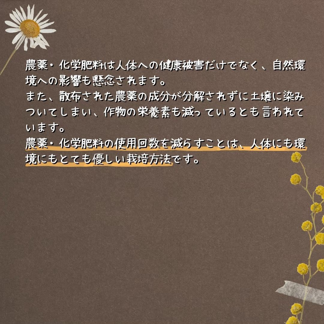 【令和6年・減農薬・特別栽培米】ななつぼし 10kg 北海道 蘭越産