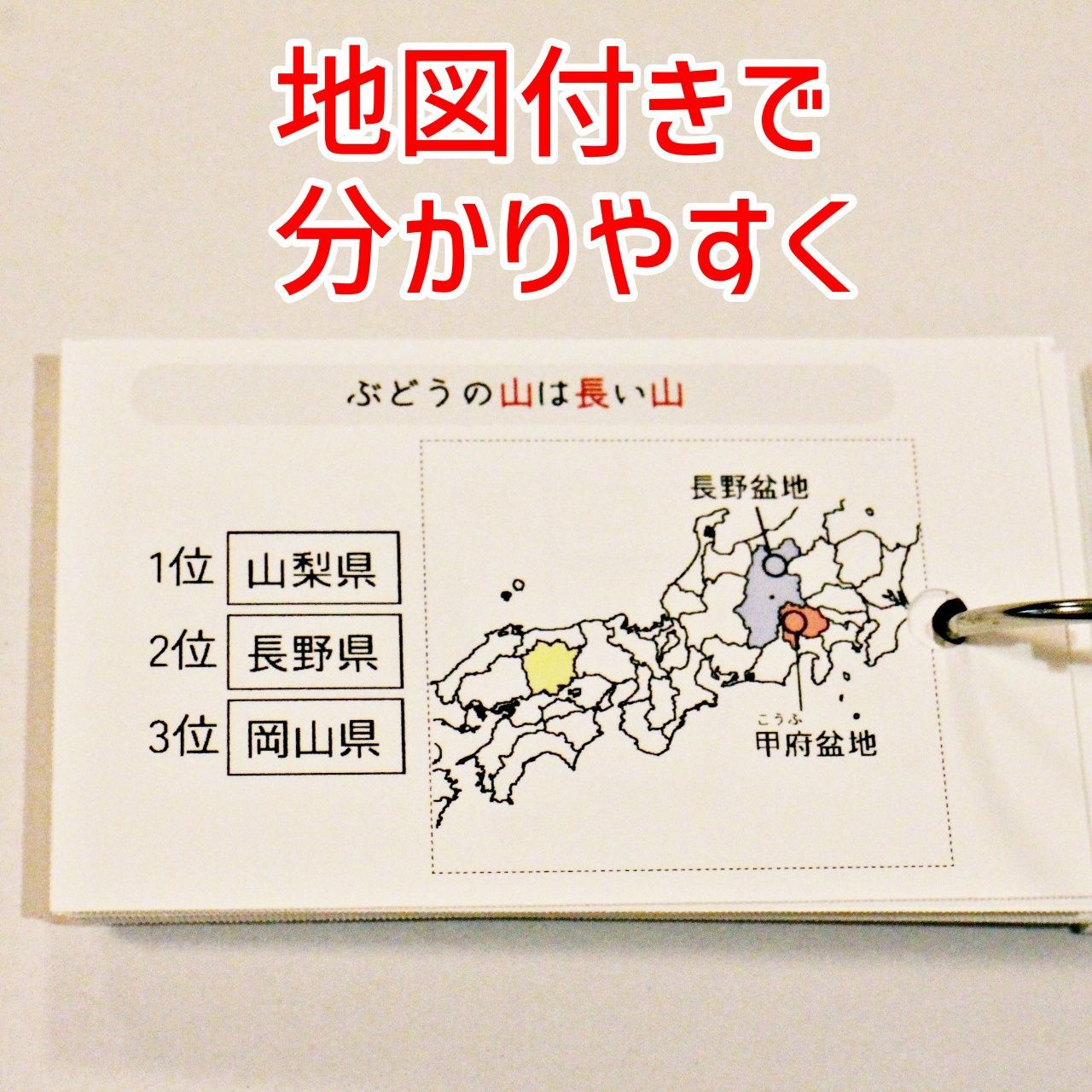 ぱんだ様　中学受験　暗記カード 地理データバンク 一次産業 暗記カード 中学受験 中学入試 予習