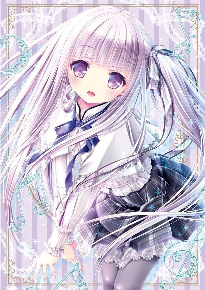 向山黒王丸 ドライカクタス サボテン コピアポア シネレア 黒王丸 白肌