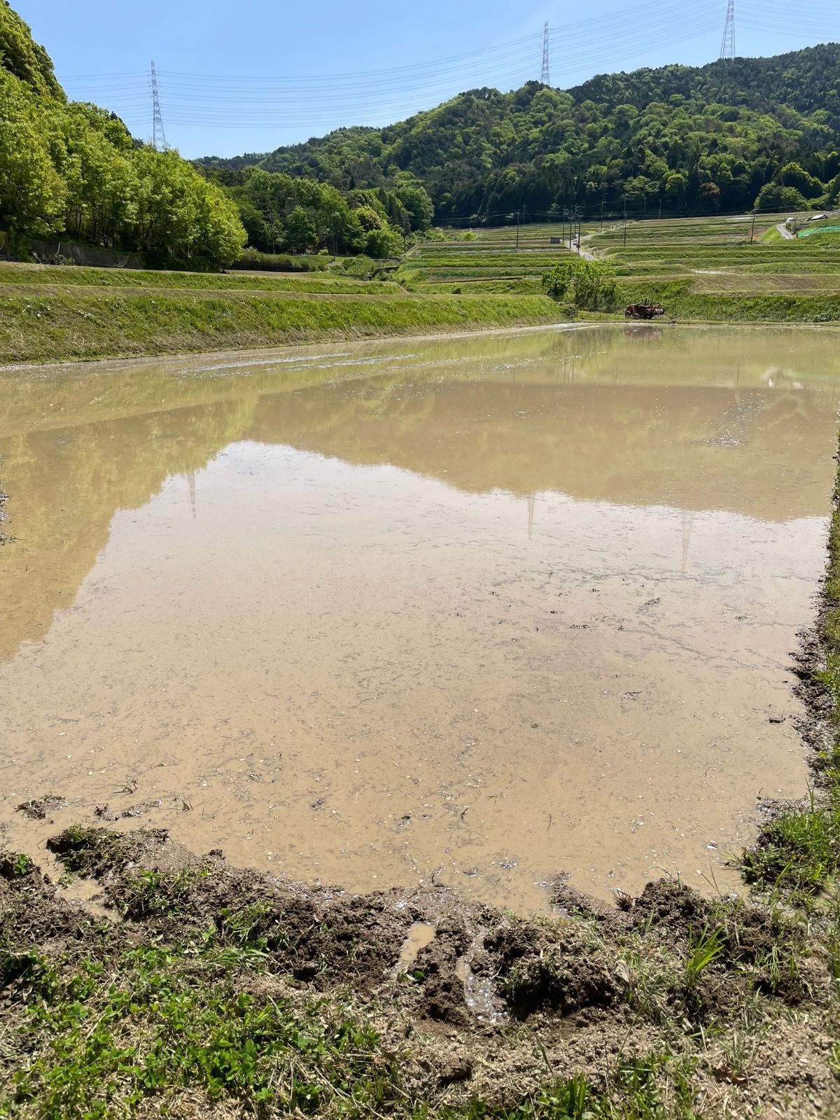 【令和４年産/無農薬栽培】大阪のてっぺんキヌヒカリ　玄米10kg　大阪府能勢産