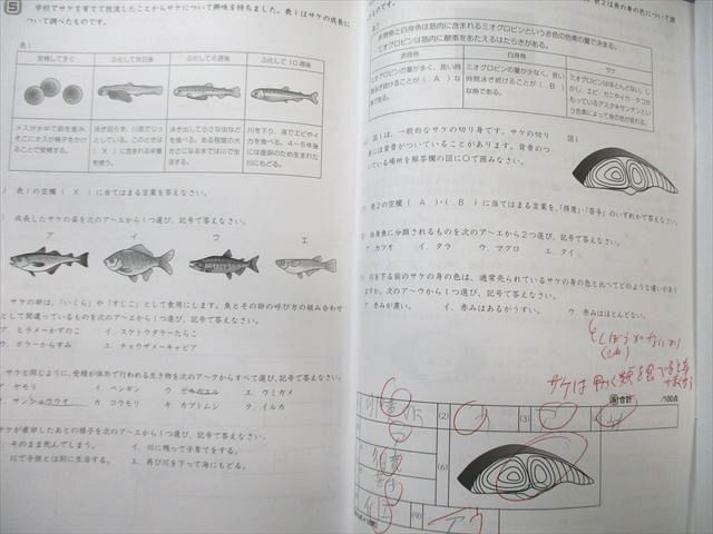 SAPIX 小6 サピックス SS特訓(SSS3Aｰ01～14) 理科 知識論理力