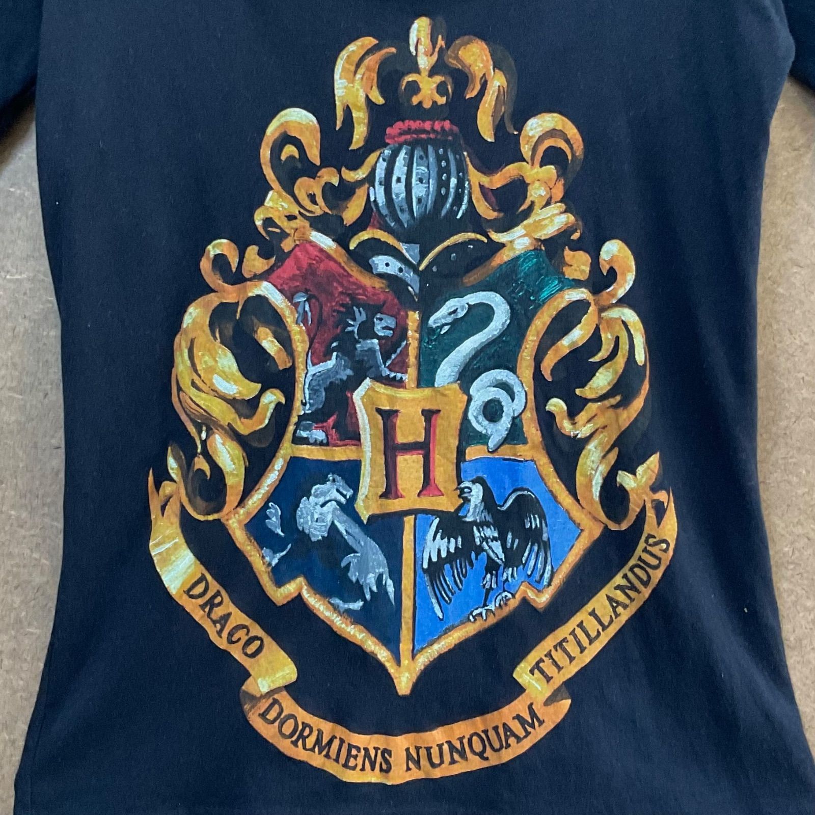 US古着 ハリーポッターHarry Potter ホグワーツ寮 エンブレム絵画風 