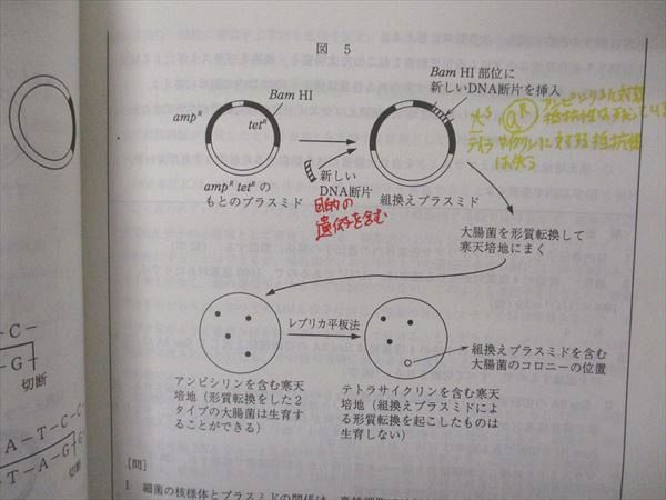 UE04-057 代ゼミ 代々木ゼミナール 生物図解・計算・遺伝・描図 中嶋寛