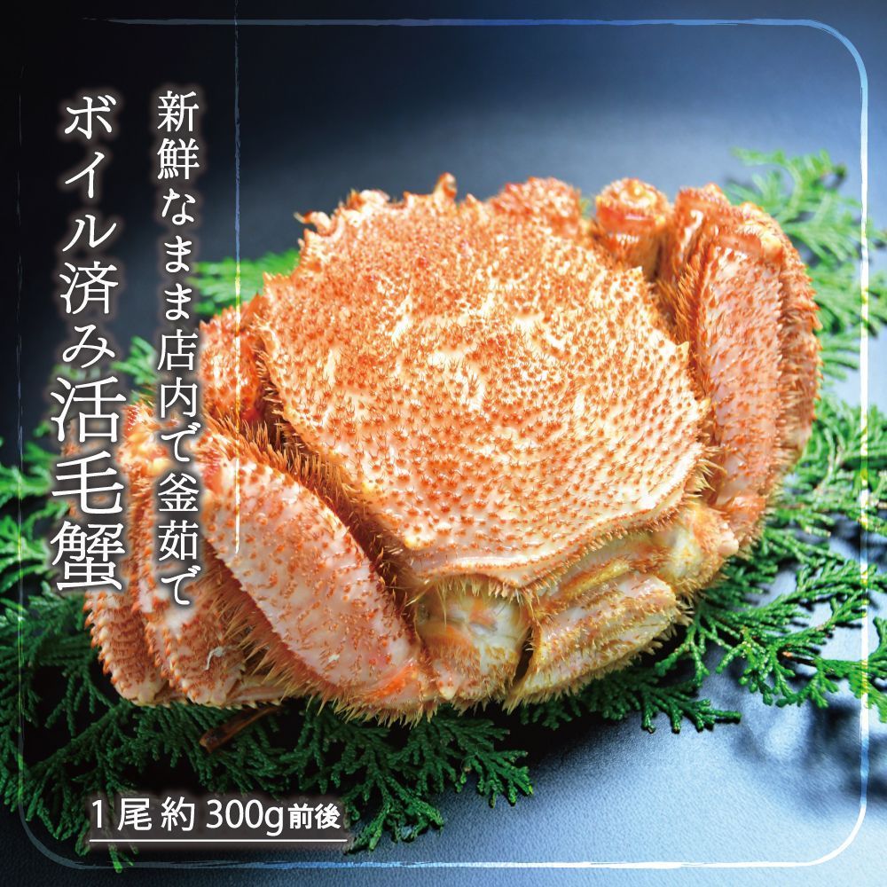 数量 北海道産 活毛ガニ ボイル済み 6尾セット 1尾 約300g 全国 冷蔵 新鮮な活毛蟹 店内釜茹で 甘味が強い 濃厚なカニ味噌 かにみそ USTAUSTRALIA_COM_AU