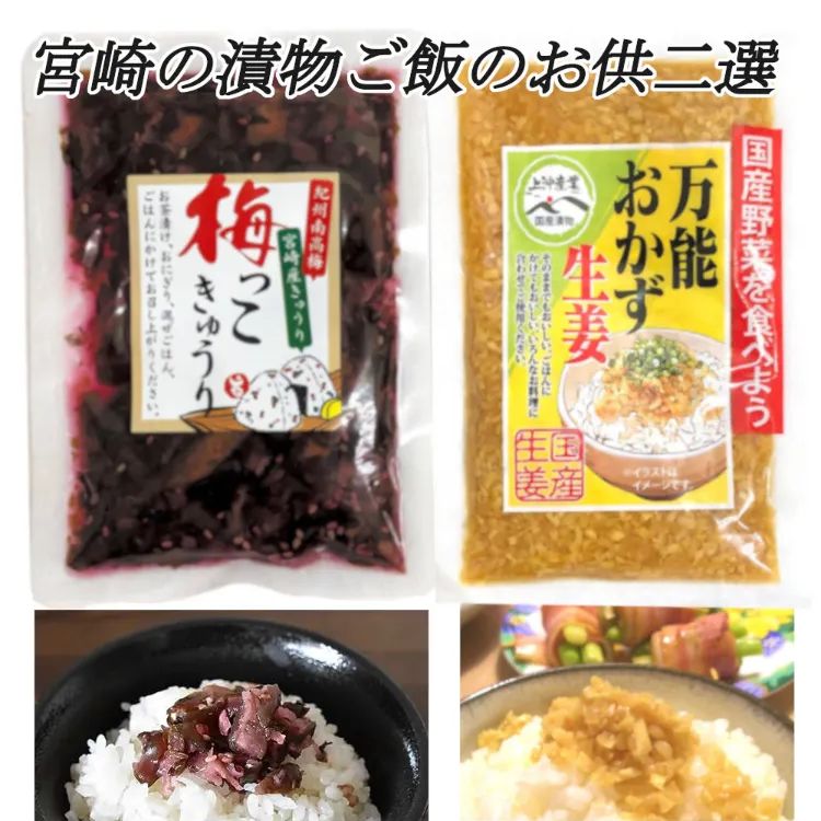 《お試し商品価格》宮崎の漬物 ご飯のお供二選 「梅っこきゅうり」130g×1袋「万能おかず生姜」130g×1袋 お試し ご飯のお供 おにぎり おかず  きざみ　送料無料！　セット販売！！