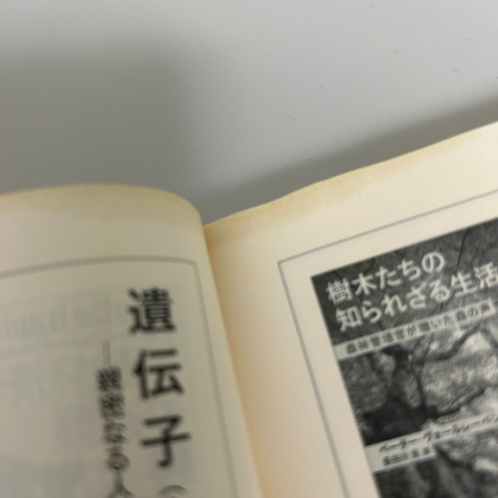 中古本／状態悪】 現れる存在 脳と身体と世界の再統合 アンディ
