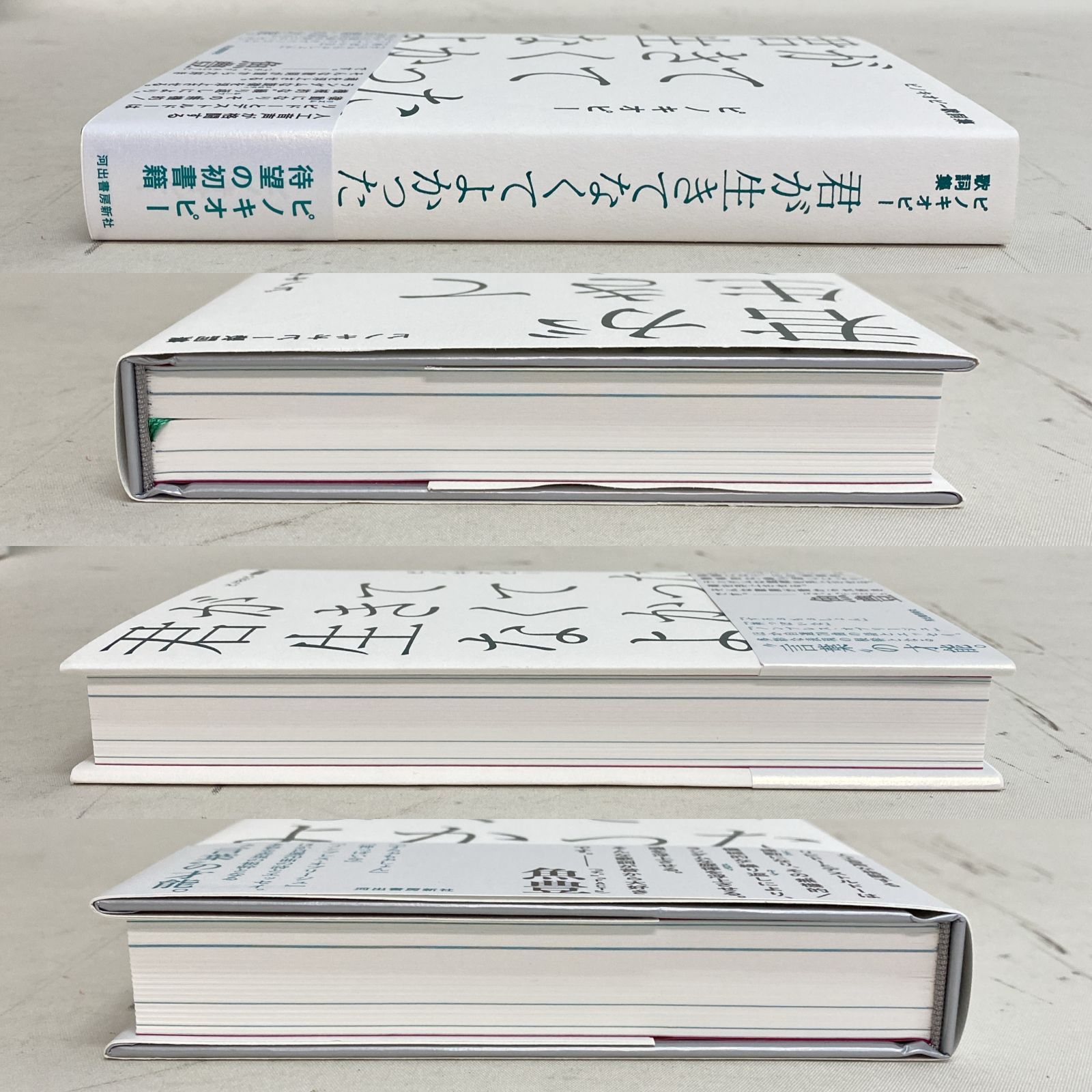 ピノキオピー 歌詞集&画集 ANNIVERSARY BOX 宮脇書店 on X: 