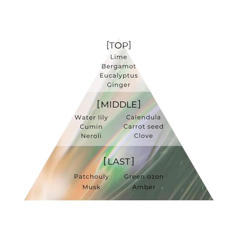 Aiam 香水 chapter18 Aiam チャプター18 50ml – Aíam OFFICIAL ONLINE STORE