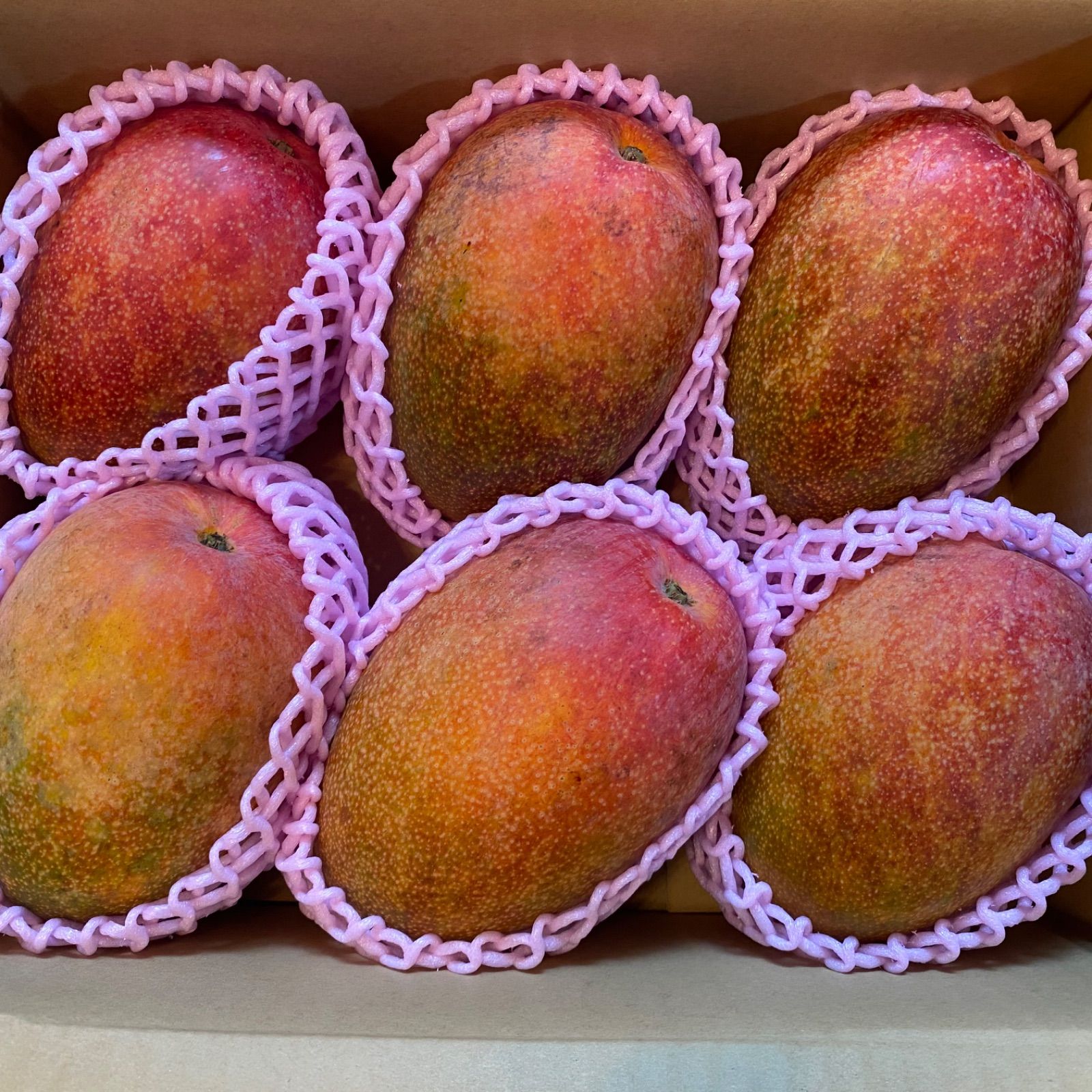 宮崎　完熟　マンゴー　家庭用　９玉　 4k 宮崎 完熟 マンゴー 家庭用 9玉 4k 特大 訳あり 加工用黒点】宮崎完熟