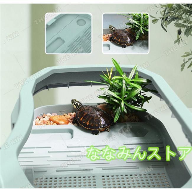 爬虫類 ボックス
