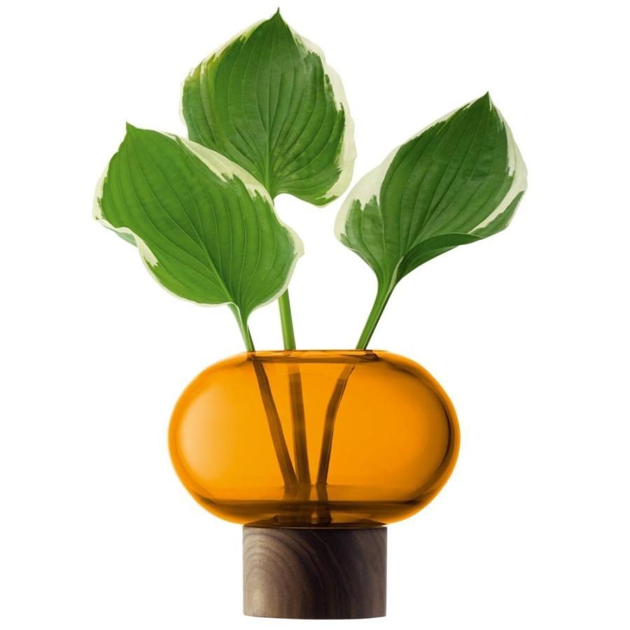 フラワーベース