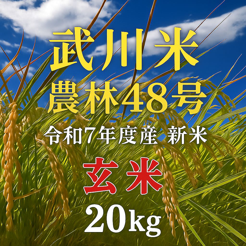 武川米 農林48号 20kg 玄米 新米 令和7年度産山梨県北杜市武川町産 農家直送 お米 20キロ