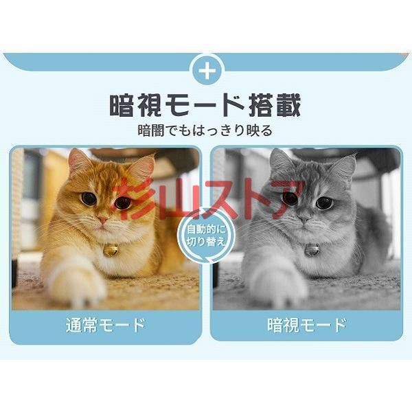 自動給餌機 猫