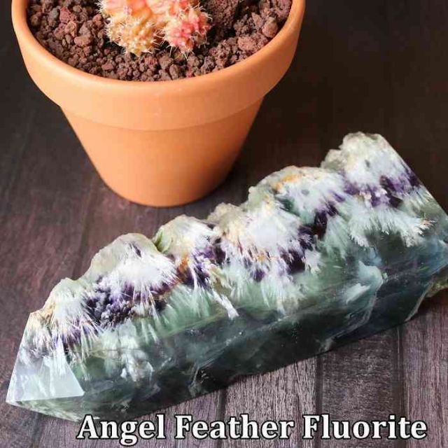 特大24cm】天童 飾り駒 左馬 3代目 武内王将堂 鷹山作 箱・しおり完備