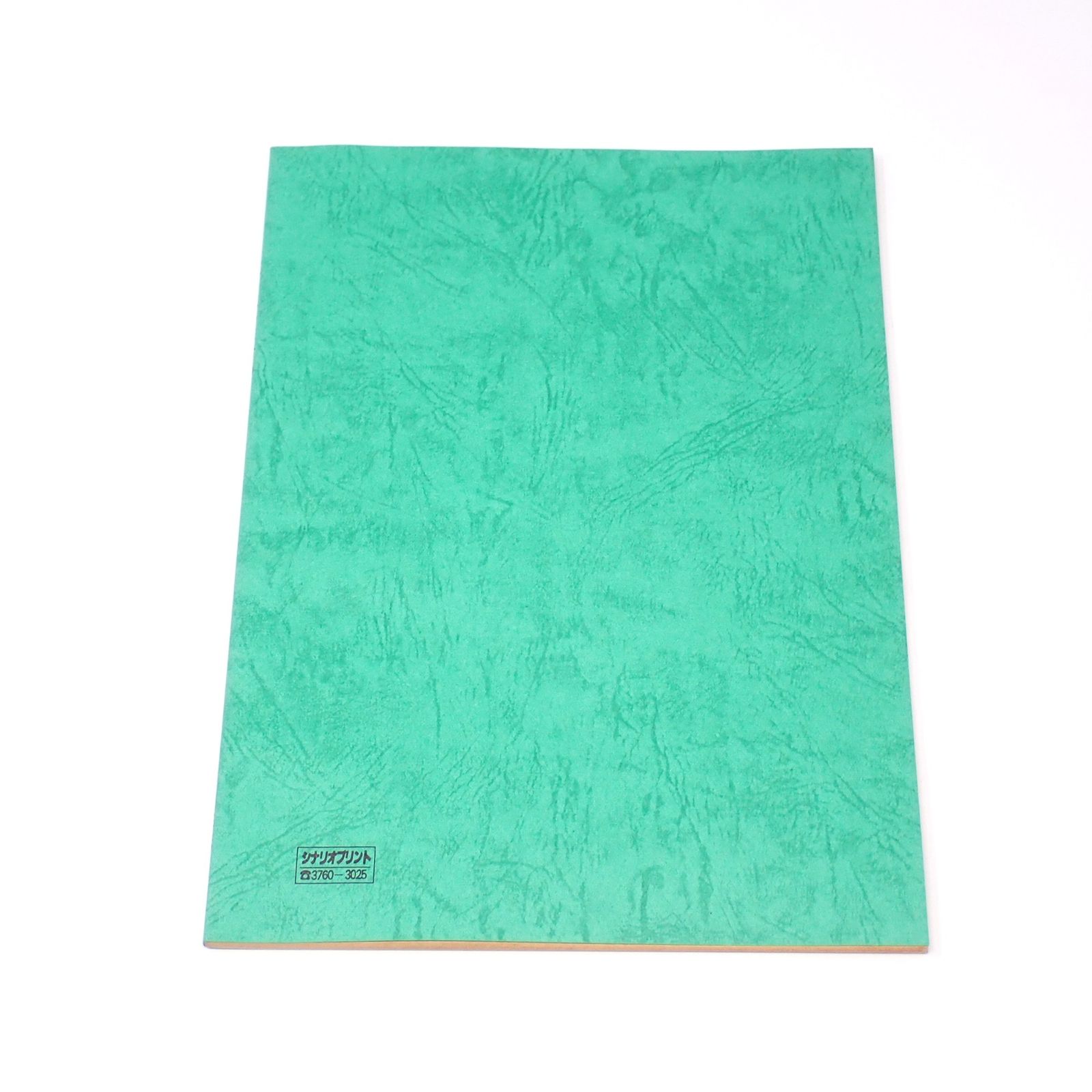 台本 ウルトラマンティガ 第1話 光を継ぐもの 決定稿Ⅱ 円谷プロ 長野