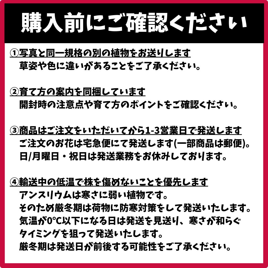 のサムネイル