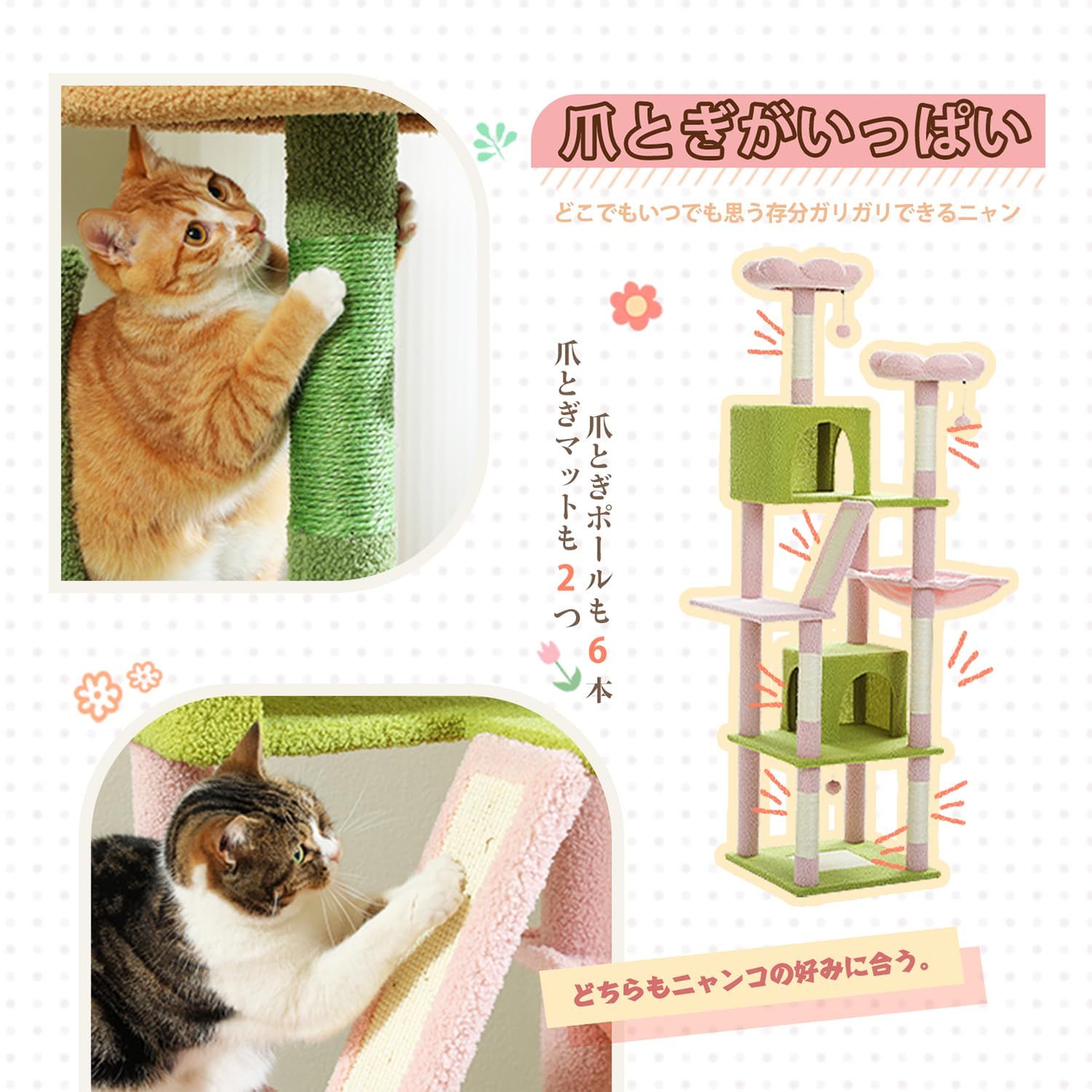 PETEPELA ぺテぺラ