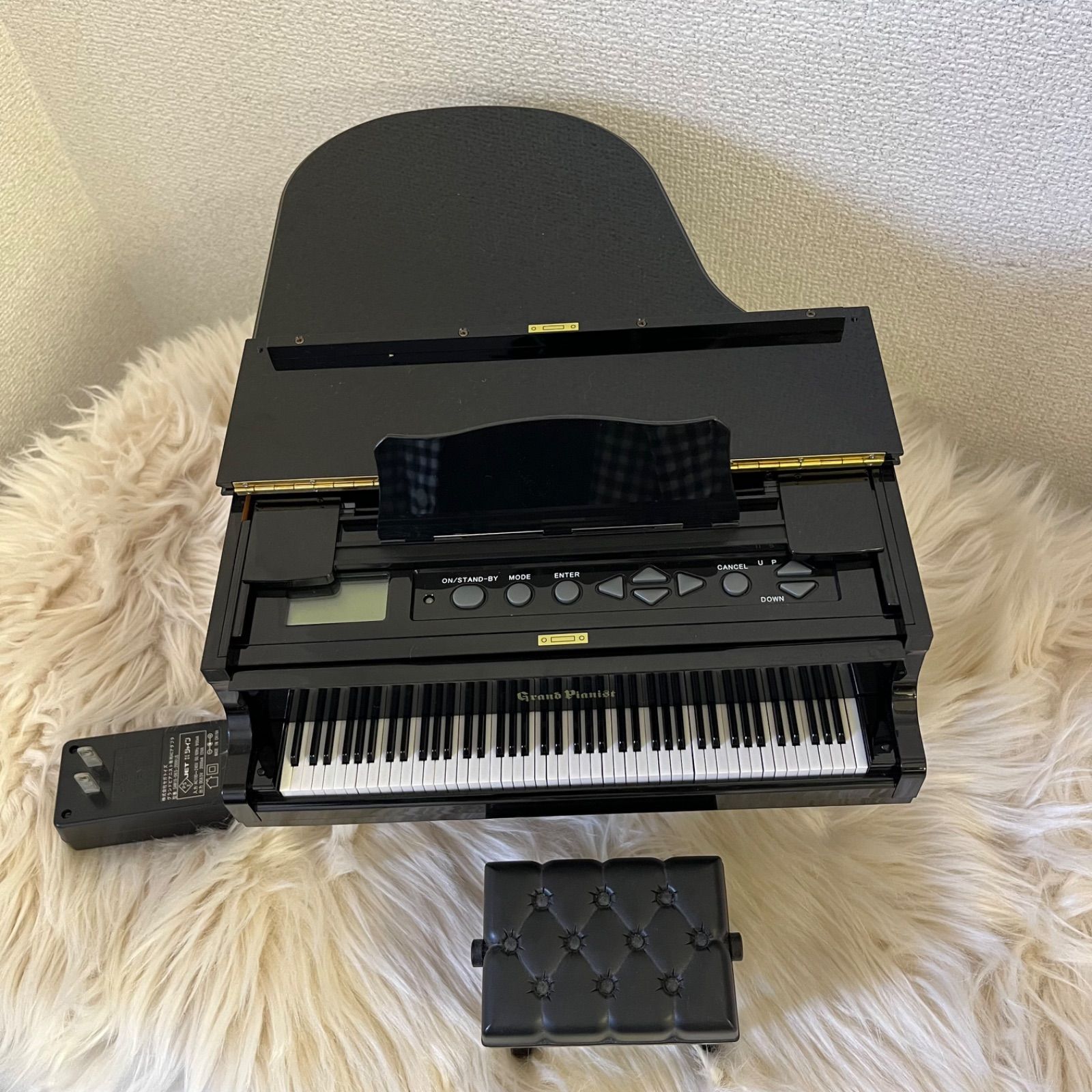 Grand Pianist plus グランドピアノプラスおもちゃSEGA