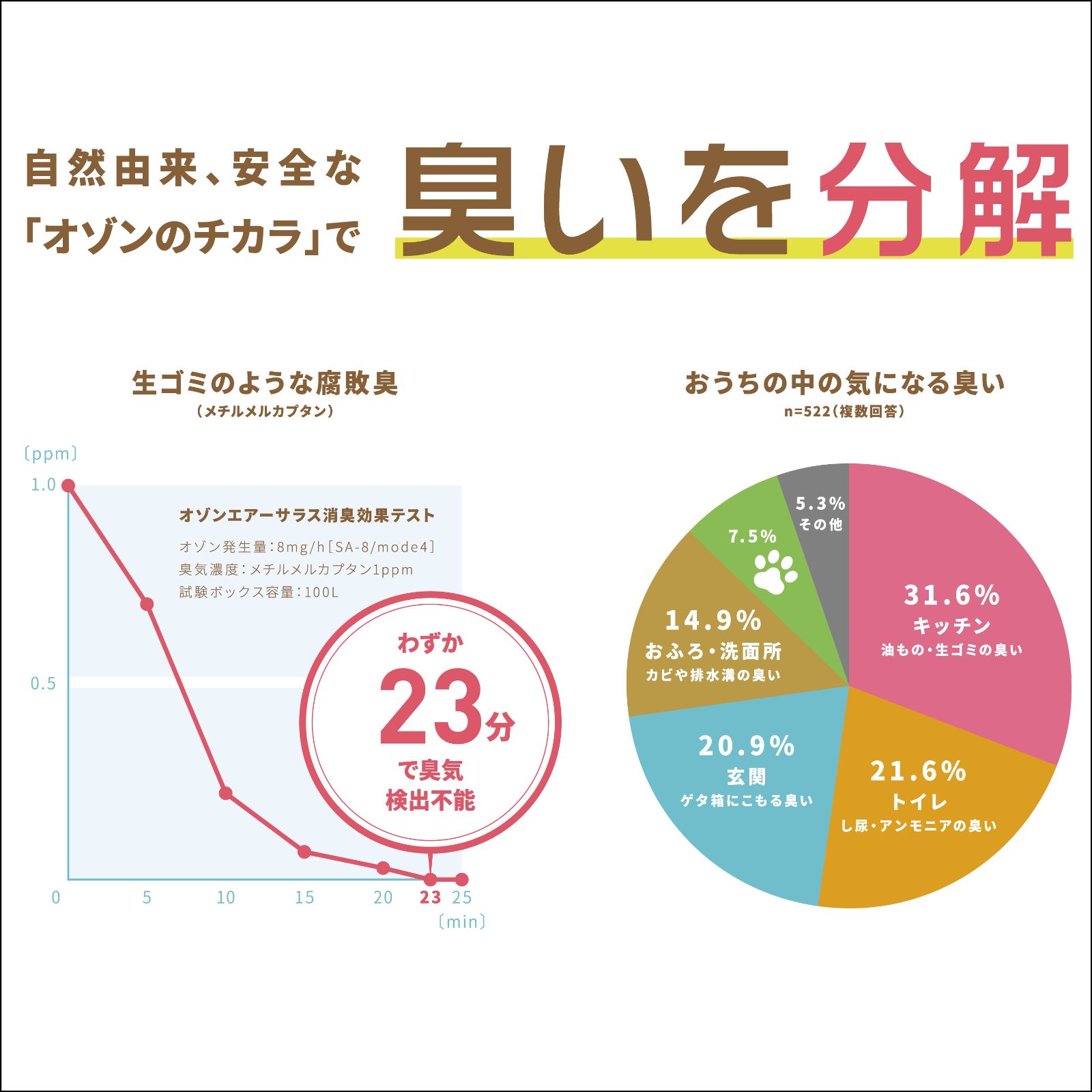 フォロワー クーポン配布中