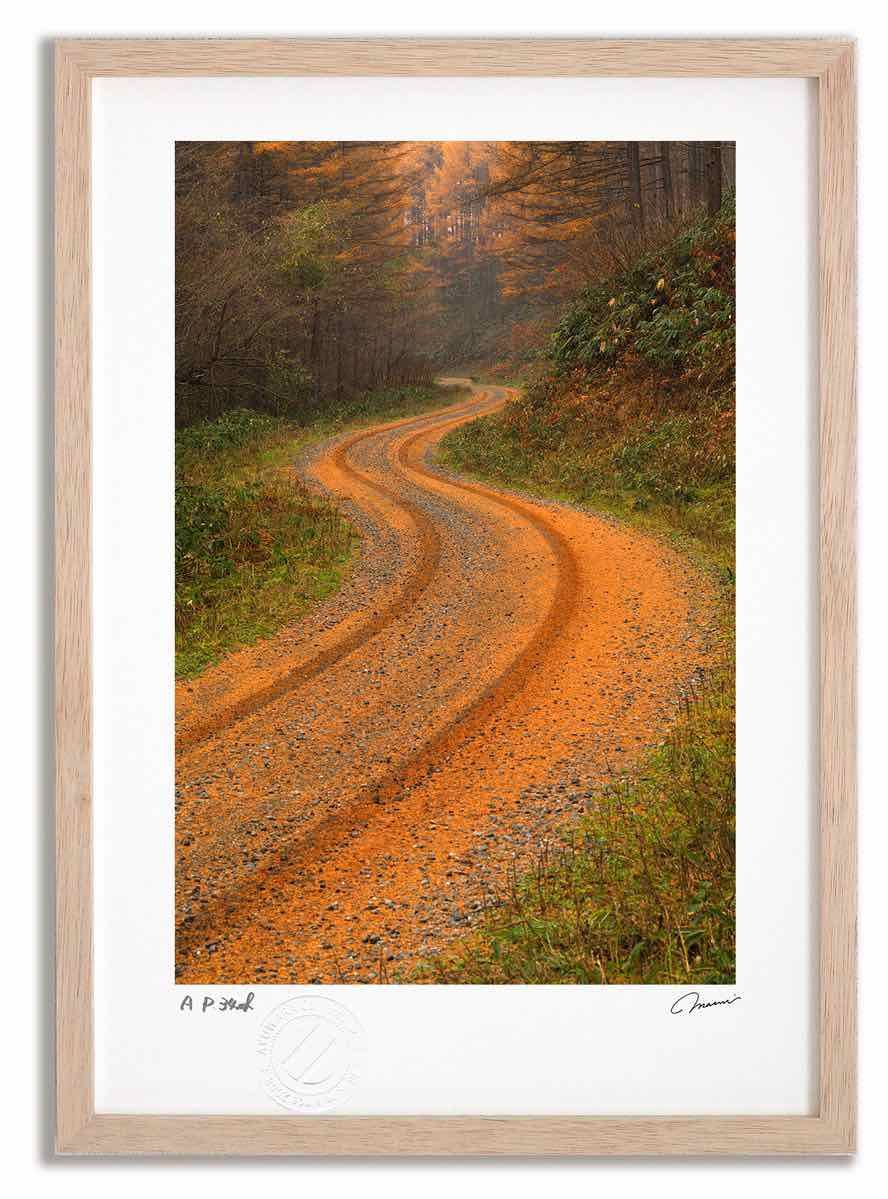 アートフォト 絵画 カラマツの道4 高橋真澄|インテリア 額入り 額装込 風景画 油絵 ポスター アート アートパネル リビング 玄関 プレゼント モダン アートフレーム 飾る Mサイズ おしゃれ 壁掛け 絵