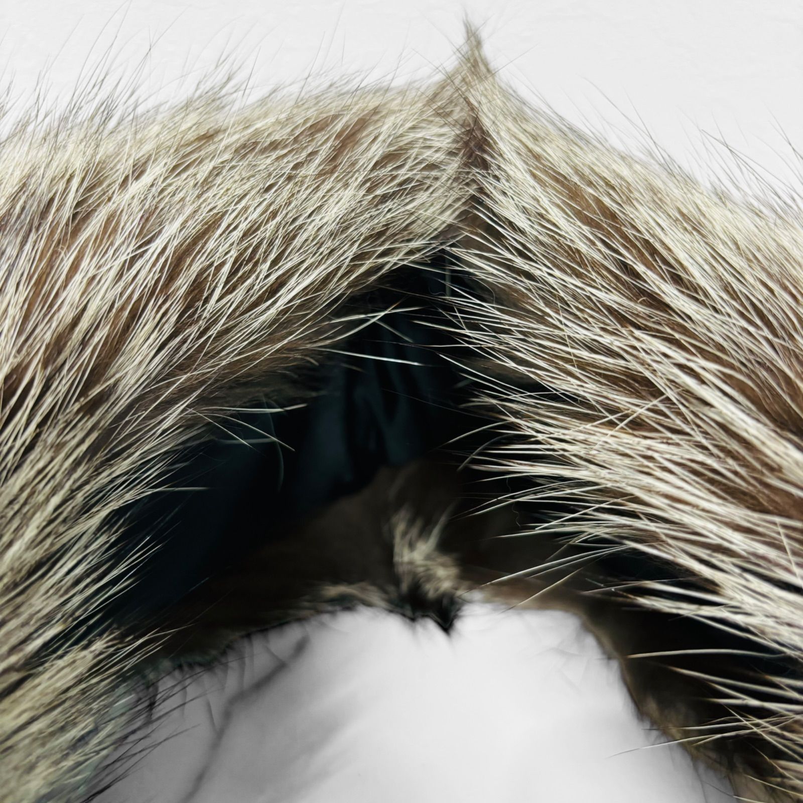 美品 箱付き 最高級 SAGA FOX サガ フォックス ファー 成人式 正月  