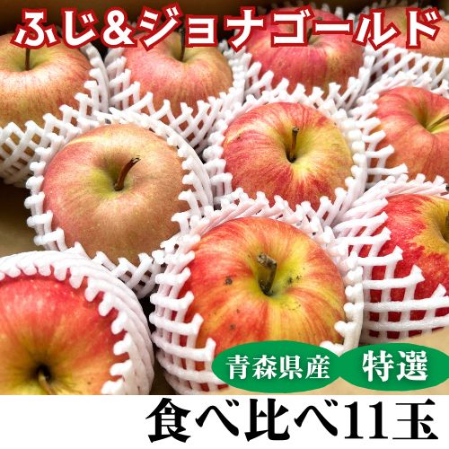 クール りんご 2種セット【特選A】贈答レベル ふじ&ジョナ