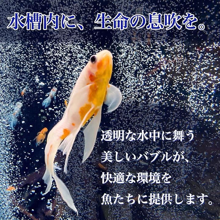 ＦＵＫＵＭＩＤＯ エアー ストーン 水槽 丸 小型 ディフューザー 魚 水草 メダカ アクアリウム 飼育 金魚 熱帯魚 25mm 5個セット(  グレー