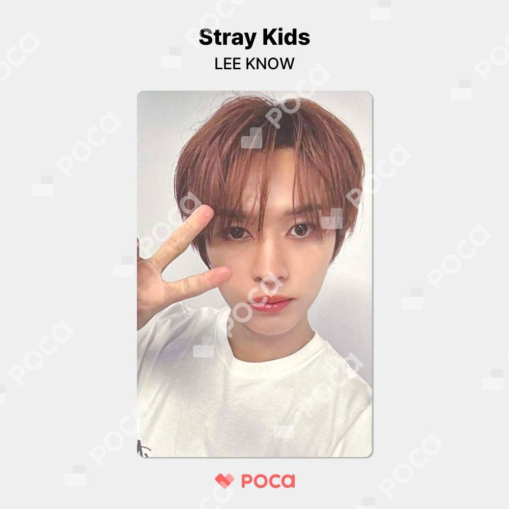 StrayKids リノ スキズ 樂-STAR ストリーミングトレカ Stray Kids - straykids スキズ 樂-star 封入トレカ リノ の通販