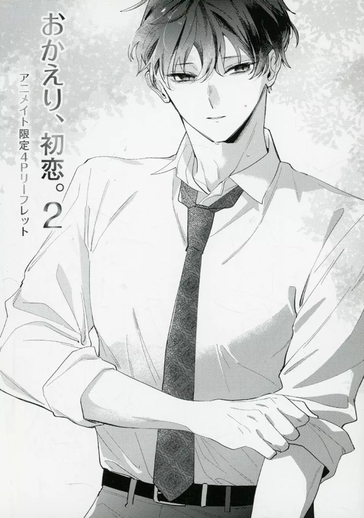 おかえり、初恋。(3) アニメイト限定セットPremium　リーフレット付 おかえり、初恋。(3) アニメイト限定セットPremium リーフレット付